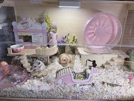 Modern Reptile Enclosure, Fancy Mouse Cage Ideas, Fairy Garden Hamster Cage, Themed Hamster Cages, Cute Hamster Cage Ideas Aesthetic, Rat Room Ideas, Pink Hamster Cage Theme, Kawaii Hamster Cage, Hamster Cage Ideas Syrian