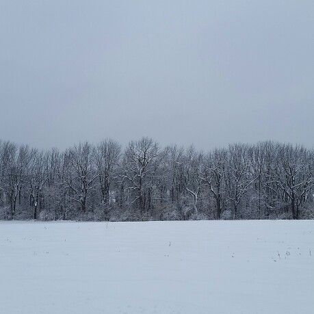 Snow Landscape Aesthetic, Snow Field Aesthetic, Soft Apocalypse, Road Trip Movie, Snow Field, Snow Blizzard, Snowy Field, Visual Map, Book Thief