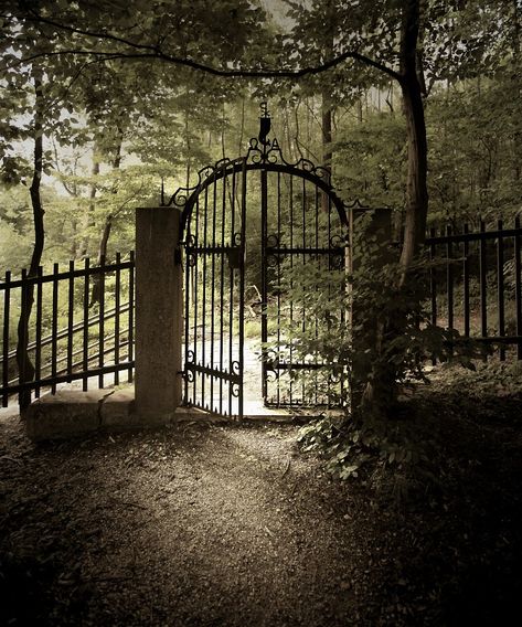 Gate into the Old Kahlenberg Cemetery, Vienna Old Gates, Old Cemeteries, Iron Gates, Fence Gate, Iron Gate, Belem, Garden Gates, Graveyard, Abandoned Places