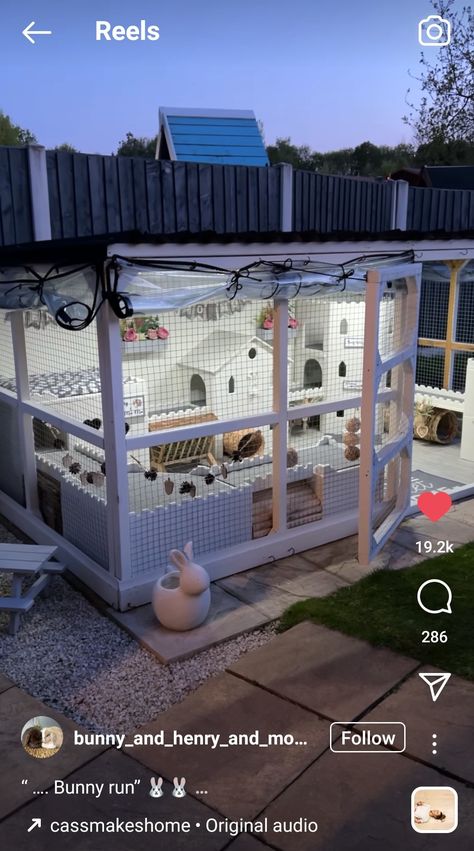 Bunny Cage Outside, Bunny Homes Outdoor, Boho Bunny Enclosure, Outside Bunny Cages, Bunny Incloser, Outdoor Bunny Play Area, Rabbit Home Outdoor, Diy Rabbit Shed, Bunny Sheds Outdoor