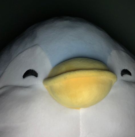 I got this plushie from Miniso ! Miniso Penguin Pfp, Miniso Plushies Aesthetic, Miniso Plushies Penguin, Stuff Toys Aesthetic, Cute Penguin Pfp, Miniso Penguin, Wallpaper Iphone Sunset, Plushie Pfp, Miniso Plushies