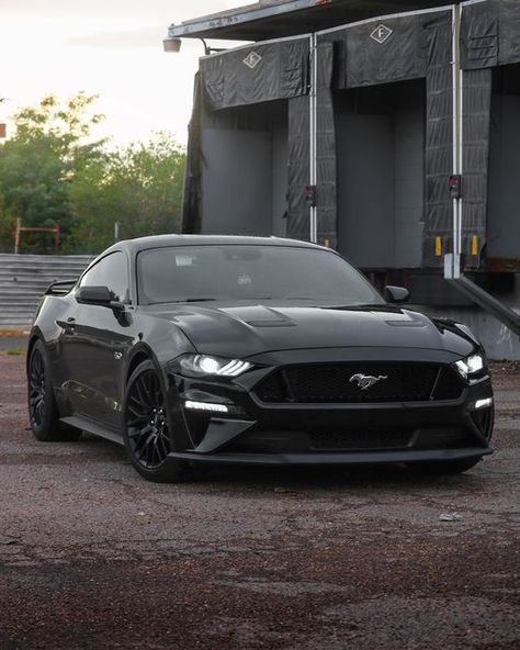 Cars Ford Mustang, 67 Ford Mustang Shelby Gt500, Mustang S550 Gt, 2019 Ford Mustang Gt, All Black Mustang Gt, Mustang Ford Gt, 05-09 Mustang Gt, Cool Mustangs, Mustang Gt 2024