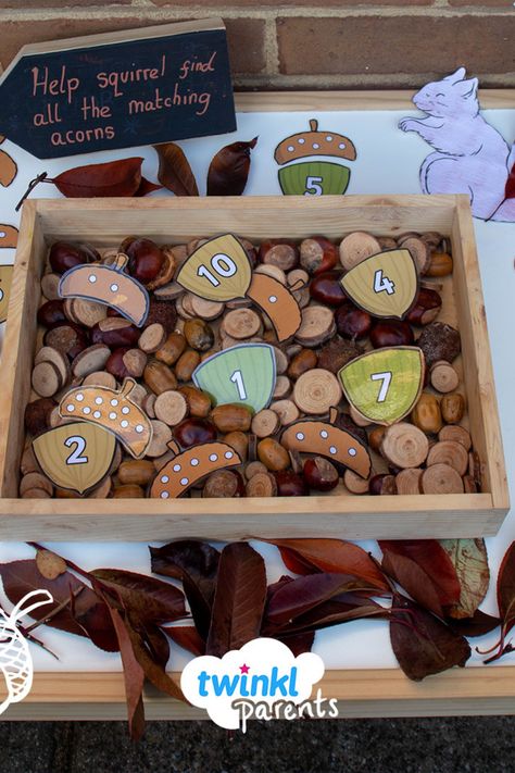 Woodland Activities Eyfs, Squirrel Eyfs Activities, Autumn Theme Preschool, Autumn Maths Activities Eyfs, Preschool Conker Activities, Autumn Maths Eyfs, Autumn Maths Activities, Autumn Activities For Preschool, Acorn Counting Preschool