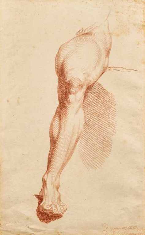 Greek Sculpture Drawing, Figure Study Reference, Foot Anatomy, Masculine Art, Human Figure Sketches, Anatomy Sculpture, Master Drawing, Drawing Examples, Human Figure Drawing