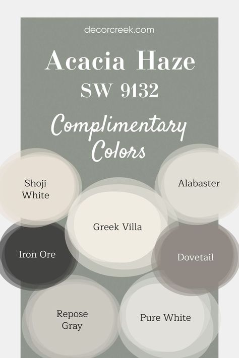 This pin showcases complementary colors for Acacia Haze SW 9132 by Sherwin Williams, a calming green-gray. It pairs beautifully with soft neutrals like Shoji White and Greek Villa to create a warm, inviting space. Deeper tones like Iron Ore and Dovetail add contrast, while Pure White, Alabaster, and Repose Gray bring brightness and cohesion to the overall look. Acacia Haze Sherwin Williams, Acacia Haze, Sherwin Williams Alabaster White, Greek Villa Sherwin Williams, Greek Villa, Repose Gray Sherwin Williams, Blue Green Paints, Shoji White, Greek Villas