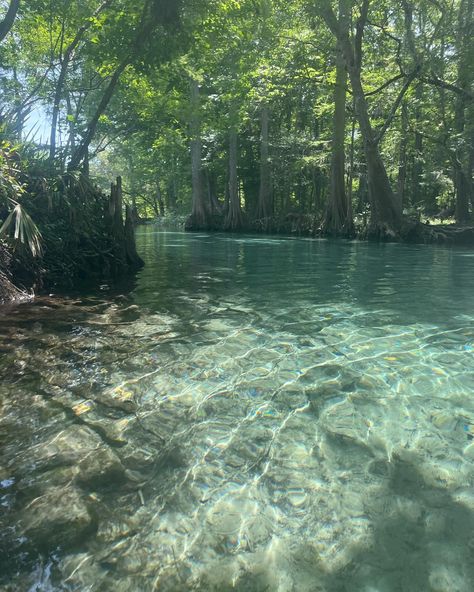 We swim in your spring water before you drink it…💙 Pretty Water Aesthetic, Michaelcore Aesthetic, Spring Ocean, Relaxing Images, Pretty Water, Water Spring, Drinks Aesthetic, Landscapes Photography, Aesthetic Water