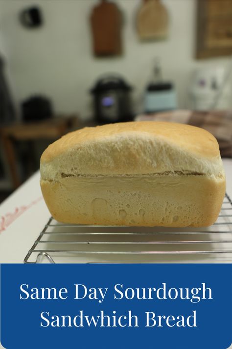 Same Day Sourdough Sandwich Bread Sameday Sourdough Recipes, Sour Dough Sandwich Bread Recipe, Easy Quick Sourdough Bread, Easy Sourdough Loaf Bread, Sandwich Sourdough Bread Recipe, Easy Sourdough Bread Recipes, Quick Sourdough Bread Recipe, Old Fashioned Sourdough Bread, Easy Sourdough Bread Recipes For Beginners