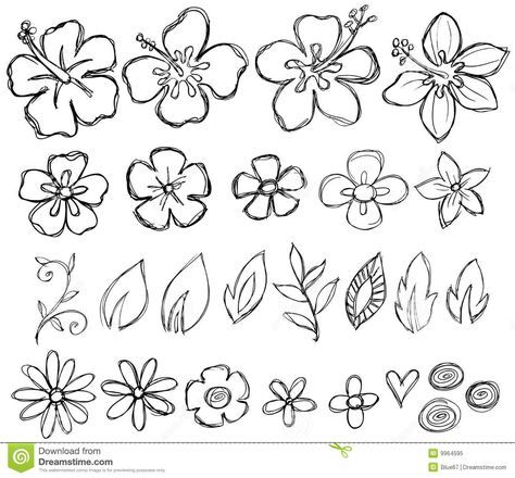 Hawaiian Flower Drawing, Summer Drawings, Flower Drawings, Vector Elements, Hawaiian Flower, Flower Sketches, Plant Drawing, Hawaiian Flowers, Doodle Art Designs