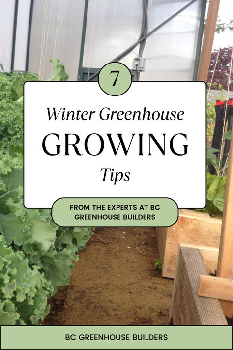 Dive into the world of strategic winter cultivation! Explore parallels between various endeavors and cultivate a thriving winter garden. Click to uncover insightful tips and strategies for a fruitful winter greenhouse journey. 🌿 #GardeningInspiration #WinterHarvest #GreenhouseTips What To Grow In A Greenhouse In Winter, Greenhouse Growing In Winter, Greenhouse Winter Gardening, Greenhouse Growing Tips, Greenhouse Tips And Tricks, Heating Greenhouse In Winter, Winter Greenhouse Gardening, What To Grow In A Greenhouse, Greenhouse Planting Layout