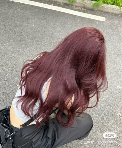 Red Cherry Hair Aesthetic, Dark Red Hair Over Brown, Dark Red Hair Color Pale Skin, Hairdye Inspo Long Hair, Reddish Light Brown Hair With Highlights, Colors That Look Good With Brown Hair, Pink Lavender Brown Hair, Brown Hair With Hair Dye, Light Purple Pink Hair