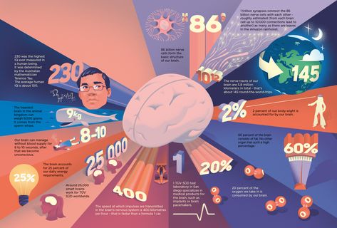 Research Infographic Design, Best Infographic Design, Academic Infographic, Creative Research Poster, Informational Poster Design Layout, Infographic Design Inspiration Aesthetic, Creative Infographic Poster, Did You Know Design, Creative Infographic Design Ideas