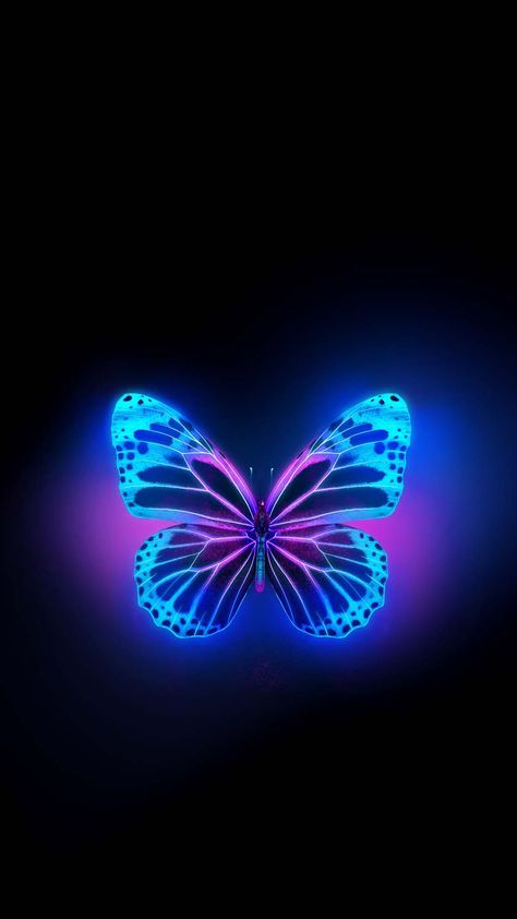 Butterfly Glow IPhone Wallpaper HD - IPhone Wallpapers : iPhone Wallpapers Hd Butterfly, Wallpapers Butterfly, Purple Butterfly Wallpaper, Iphone Wallpaper Hd, Glowing Background, Halloween Wallpaper Cute, Butterfly Wallpaper Backgrounds, Butterfly Background, Flowery Wallpaper