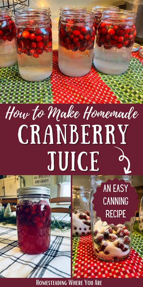 Cranberry juice is a must-have in your canning pantry. This is one of my easiest water bath canning recipes. In this article, I explain two (really three) ways to can cranberry juice at home. Canning Cranberry Juice, Homemade Cranberry Juice, Canning Cranberry, Water Bath Canning Recipes, Canned Cranberries, Easy Canning, Home Canning Recipes, Canning Recipe, Canning Food Preservation