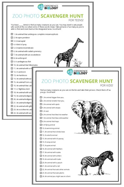 Zoo Photo Scavenger Hunt — for the whole family! | Experience Biology #zooactivities #scavengerhunt #summerfamilyactivities Zoo Field Trip Activities Free Printable, Zoo Gift Basket Ideas, Zoo Scavenger Hunt Printable Free, Zoo Scavenger Hunt Printable, Zoo Worksheets, Zoo Scavenger Hunt, Guest Basket, Zoo Map, Zoo Trip