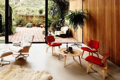 Throw in an Eames Potato Chip chair to add some contour to your design. Available at Harveys on Beverly in Van Nuys, CA. White Eames Chair, Plywood Coffee Table, Plywood Chair, Studio Chairs, Chair Living Room, Classic Table, Upholstered Chair, George Nelson, Charles Eames