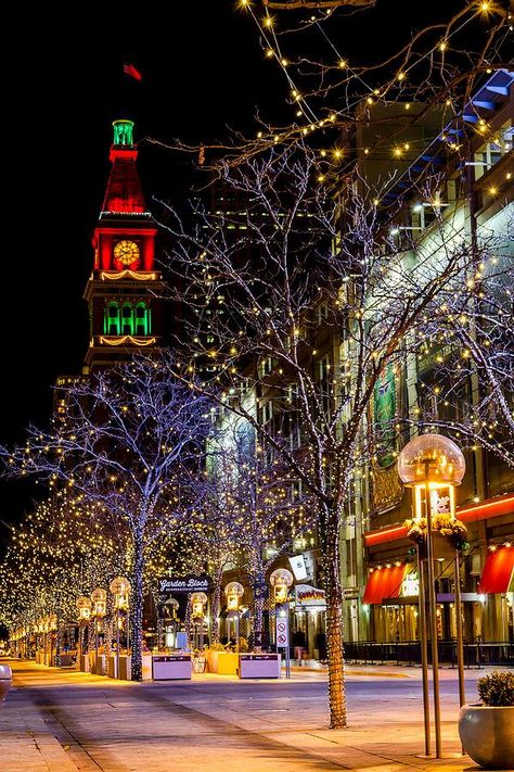 There's no place like home! Denver, Colorado Denver Christmas, New York Christmas Aesthetic, Colorado Christmas, Holiday Lights Display, Street Mall, Christmas Destinations, Best Christmas Lights, Christmas In The City, Christmas Town