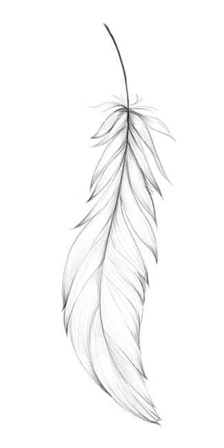 Tattoo Plume, White Feather Tattoos, Tattoos Feather, Feather Template, Tattoo Feather, Tattoo White, Tattoo Diy, Feather Drawing, Tattoo Temporary