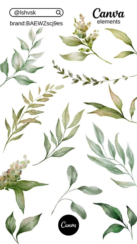 Watercolor greenery by lshvsk on Canva - Yuli Canva Free Elements, Font Canva Lettering, Website Design Inspiration Business, Branch Watercolor, Free Wedding Planner, Keyword Elements Canva, Botanical Leaves, Watercolor Green, Nature Watercolor