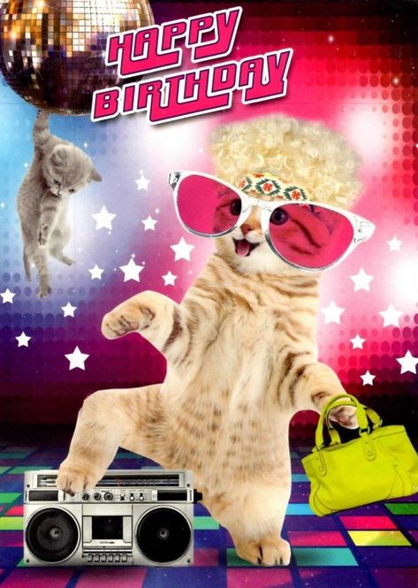 Disco cat party | Happy Birthday Memes | Know Your Meme Cat Birthday Memes, Happy Birthday Memes, Funny Happy Birthday Meme, Queen Card, Birthday Memes, Happy Birthday Best Friend, Cat Birthday Card, Happy Birthday Meme, Happy Birthday Funny