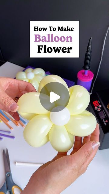 House of Party on Instagram: "Ready to craft an awesome balloon flower?    First, pinch and fold the end of your balloon over itself. Now, twist where the neck ends to create a pinch twist and pull the neck back through to secure it. Gently squeeze just above your twist to soften the latex. Next, create a second loop, making sure it’s the same size as the first, and twist to lock it in place. Continue this process until you’ve used the entire balloon.  Now, inflate part of another 260 balloon, making a small bubble, and tie both sides. Twist this in the middle of your flower to add a stunning center.  And there you have it—your very own beautiful balloon flower, ready to brighten any space!  #balloondecoration #balloontutorial #balloontips #balloontipsandtricks #ballooneducation #houseofpa Twisting Balloons Ideas, 260 Balloon Flower, Small Balloon Decorations, Balloon Flowers Diy, 260 Balloon Ideas, Balloon Twisting Ideas, Balloon Projects, Flower Balloons Diy, Flower Balloons