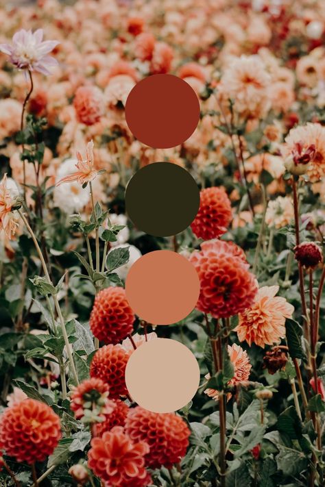 Comfy Bedroom Color Schemes, Green And Rust Aesthetic, Jade And Rust Color Palette, Fall Colors Spring Wedding, Green Orange Red Wedding, Green Red Color Scheme, Dark Green And Peach Color Palette, Rust Pink And Green Wedding, Esthetic Color Palette