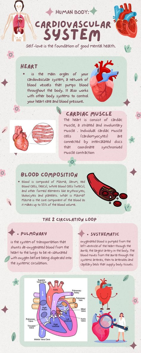 Cardiac System Anatomy, Cardiovascular System Physiology, Cardio Vascular System Notes, Anatomy Of The Heart Notes, The Cardiovascular System, Cardiologist Study Notes, The Cardiovascular System Notes, Blood Anatomy Notes, Human Heart Notes