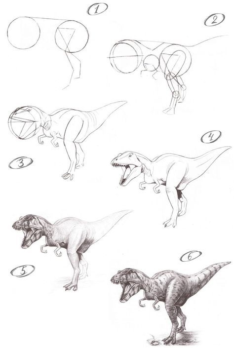 Learn to draw a T-Rex with tutorial from ImagiDraw.com How To Draw Trex Dinosaur, T Rex Anatomy, Dinosaur Step By Step Drawing, T Rex Reference, Dinosaur Anatomy Drawing, How To Draw A Trex, Dinosaur Drawing Tutorial, Cartoon T Rex Drawing, How To Draw Dinosaurs Step By Step