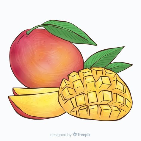 Mangoes Drawing, Mango Sketch, Mango Drawings, Mango Illustrations, Mango Tattoo, Mango Background, Mango Drawing, Milkshake Sticker, Fruit Drawings