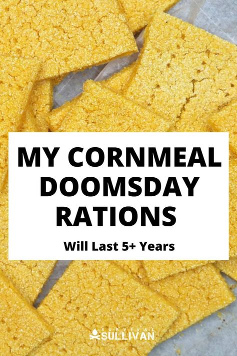 Long-lasting survival food is all the rage, but you can make your own doomsday rations at home with this recipe. #survivalfood #rations #doomsday Survival Recipes, Emergency Rations, Emergency Preparedness Food Storage, Best Survival Food, Food Shelf Life, Survival Food Storage, Food Rations, Emergency Preparedness Food, Food Medicine