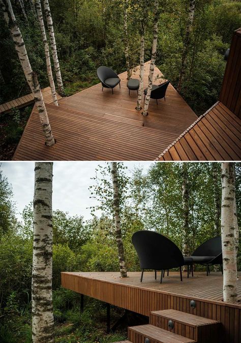 Backyard Forest Landscape, Forest Patio, Forest Landscape Design, Forest Backyard, Deck Around Trees, Forest Architecture, Small Modern Cabin, Viewing Deck, Cabin Deck