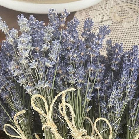 Herbal Thyme on Instagram: "Lavender Bouquets  Brighton up any room with these dried lavender flowers" Dried Lavender Aesthetic, Lavender Plant Aesthetic, Lavender Flowers Aesthetic, Lavendar Plant, Gifted Kid, Lavender Bouquets, Lavender Herb, Dried Lavender Flowers, Provence Lavender