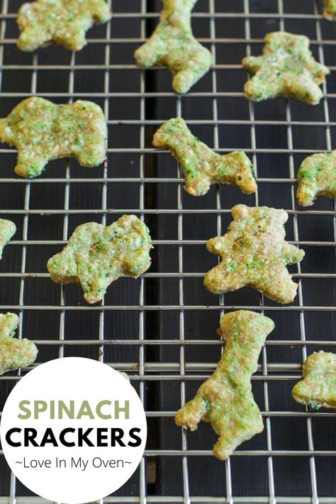 These bite-sized parmesan and spinach crackers are the easiest and most delicious vegetable crackers recipe! They're perfect as a snack for kids or adults alike! // spinach snacks // baby cracker recipe Spinach Snacks, Spinach Crackers, Veggie Crackers, Homemade Baby Snacks, Cracker Recipe, Toddler Foods, Crackers Recipe, Snack For Kids, Homemade Crackers