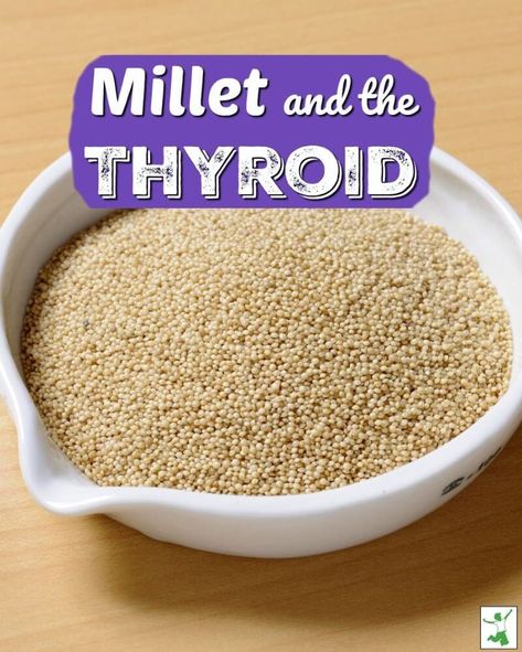 Millet is a great gluten free food. However, if you have hypothyroidism or thyroid problems, be careful how much millet you eat! Millet contains goitrogens. #millet #milletandthyroid #glutenfree #hypothyroidism #goitrogens #thehealthyhomeeconomist How To Cook Millet, Vegan Gluten Free Breakfast, Food Chemistry, Gluten Free Food, Millet Recipes, Grain Foods, Hormone Health, Cooking Art, Healthy Families