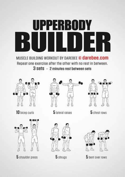 Upperbody Builder Workout Dumbbell Workout Routine, Dumbbell Workout Plan, Upper Body Dumbbell Workout, Arm Workout Routine, Dumbbell Arm Workout, Dumbbell Workout At Home, Workout Man, Full Body Dumbbell Workout, Gym Workout Planner