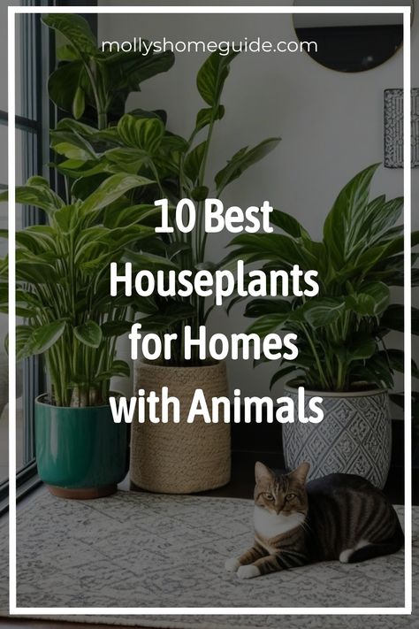 Discover the best indoor plants that are safe for your beloved pets and kids! Whether you're looking for non-toxic options or pet-friendly varieties, this plant guide for pet owners has you covered. From low-light indoor plants to those safe for cats and dogs, explore a variety of options to brighten up your space without worry. Learn about 15 indoor plants that are safe for cats and dogs, as well as 30 best non-toxic indoor plants. Cat Friendly House Plants, Indoor Tree Plants, Houseplants Safe For Cats, Best Houseplants, Plant Jungle, Low Light Indoor Plants, Plants Pet Friendly, Indoor Tree, Calathea Plant