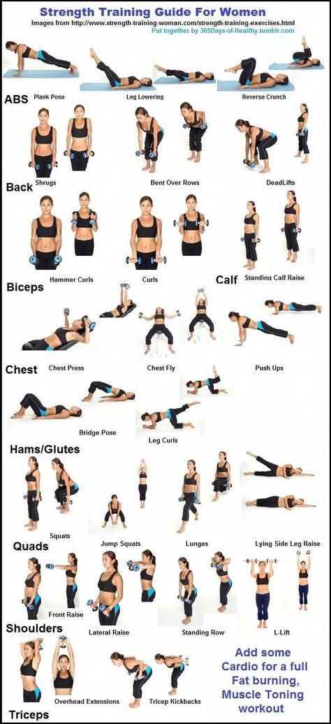 Strength training. Weights Workout For Women, Weight Training Women, Strength Training Guide, Fitness Studio Training, Strength Training For Beginners, Beginner Workouts, Gym Antrenmanları, Trening Fitness, Strength Training Workouts