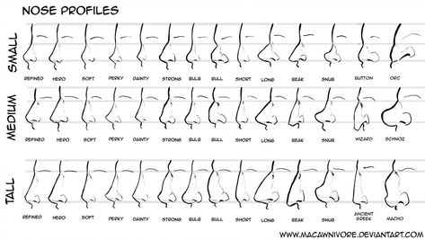 Nose Chart Reference by macawnivore on DeviantArt Different Nose Shapes, Nose Types, Shape Chart, Nose Drawing, Nose Shapes, Cartoon Eyes, Healthy Detox, The Nose, Anatomy Reference