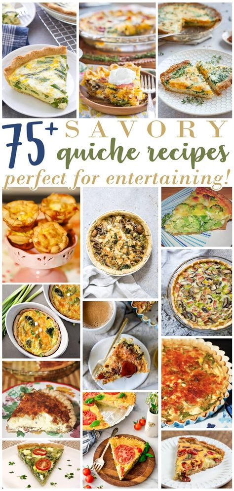 Quiche has been my go to brunch dish for years. It is so simple to make and always comes out beautiful and impressive! Here are over 75 Savory Quiche Recipes Perfect for Entertaining for you to try! Meat Animals, Savory Quiche, Mini Breakfast Quiche, Veggie Quiche, Hocus Pocus Movie, Roasted Broccolini, Vegetable Quiche, Blue Crabs, Egg Ideas