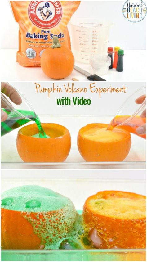 Kids love hands-on Science Activities, and Pumpkin Science Experiments are perfect for a fall theme,This Pumpkin Volcano is an awesome exploding pumpkin experiment for preschoolers, Add this Pumpkin Science to your Kids Science Table or Pumpkin Lesson Plans #pumpkin #scienceforkids #preschool #kindergarten #science #pumpkinactivities #fallactivities Fall Toddler Science Activities, Fall Science Table Preschool, Pumpkin Science Activities For Preschool, Volcano Pumpkin Experiment, Pumpkin Balance Game, Pumpkin Theme Lesson Plans, Science Pumpkin Activities, Fall Science Projects For Preschool, Pumpkin Volcano Preschool