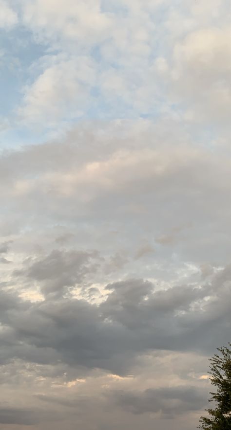 White Hour Sky, Soft Sky Aesthetic, Cloudy Sky Snap, Gray Sky Aesthetic, Skies Aesthetic Wallpaper, Grey Sky Aesthetic, Grey Sky Wallpaper, Aesthetic Tree Wallpaper, Pic For Story