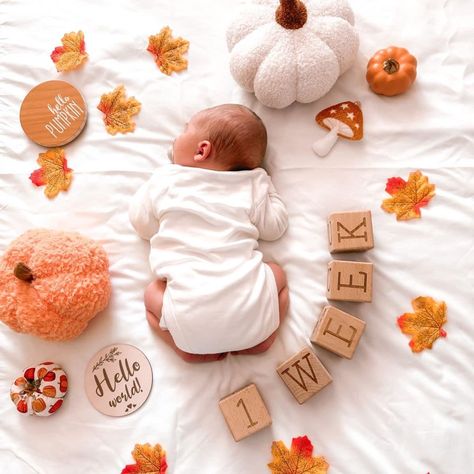 Pumpkin Newborn Photoshoot, Fall Photo Shoot With Newborn, Autumn Theme Nursery, Newborn First Thanksgiving Pictures, First Fall With Baby, Newborn In Pumpkin, Fall Baby Monthly Pictures, Newborn Baby Fall Photoshoot, Newborn Pumpkin Photoshoot