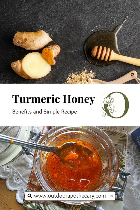 Discover the powerful blend of turmeric and honey in this simple yet effective recipe. Ideal for boosting immunity and fighting inflammation, this natural elixir is easy to prepare and a wonderful addition to teas or as a daily spoonful. Embrace the health benefits of these two potent ingredients and learn how to create this remedy in just five minutes. Visit for detailed insights and tips. #TurmericHoney #NaturalRemedies #HealthyLiving Golden Honey Recipe, Honey And Turmeric Benefits, Honey And Turmeric, Tumeric And Honey, Honey Turmeric, Fresh Turmeric Root, Healthy Pantry, Benefits Of Turmeric, Inflammatory Recipes