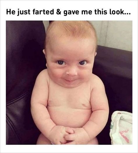 This is the cutest thing ever. Who's agree with me? 😍  #baby #meme #babymeme #memes Funny Baby Jokes, Cutest Babies Ever, Baby Jokes, Funny Baby Pictures, Funny Baby Memes, Funny Pictures For Kids, Baby Memes, Cute Jokes, Wildlife Habitat