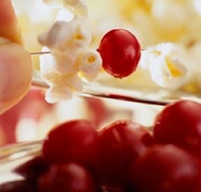 30 Ways to Decorate with Cranberries Stringing Popcorn, Cranberry Wreath, Ice Chips, Kids Christmas Ornaments, Happy Birthday Jesus, Boss Man, Victorian Christmas, Group Meals, Nature Decor