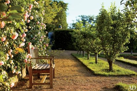 Loire Valley Chateau, Orchard Design, Orchard Garden, Potager Garden, Chateau France, Formal Gardens, Love Garden, Loire Valley, French Chateau