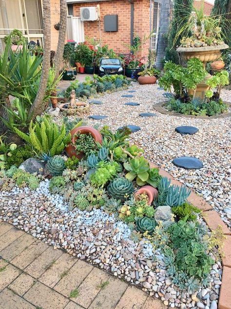 Front Yard Landscaping With Succulents And Rocks, Small Yard Landscaping Low Maintenance, Rockery Border Ideas, Succulent And Rock Landscaping, Grass And Succulent Garden, Succulents And Rocks Landscaping, Front Yard Rock Garden Landscaping, Cacti Garden Ideas, Backyard Garden Seating