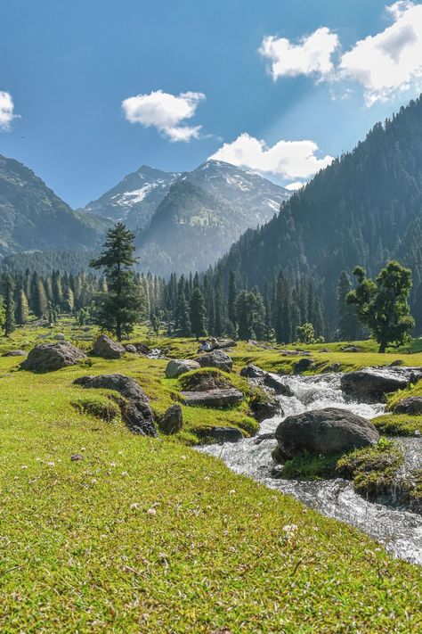 If Landscapes attracts you, then Kashmir Landscape is among the finest you will going to see in India.  You can catch more of these on my Instagram  #landscape #photography #travel #guide #kashmir #aru #valley #pahalgam #india #tourism Aru Valley Pahalgam, Jamu Kashmir Photography, Nature Photography Mountains, Aru Valley Kashmir, Kashmir India Beauty, Pahalgam Kashmir Photography, Kashmir Background, Srinagar Kashmir Photography, Kashmir Photography Ideas