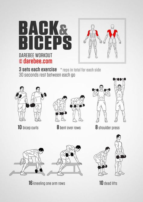 Some upper body and arms workouts - Back And Biceps Workout, Darebee Workout, Back And Bicep Workout, Fitness Studio Training, Latihan Dada, Trening Sztuk Walki, Arm Workout Women, Gym Antrenmanları, Dumbell Workout