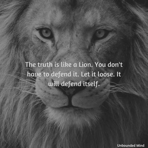 The truth is like a lion. You don't have to defend it. Let it loose. It will defend itself. You Don’t Have To Like Me Quotes, Defend Yourself Quotes, Don’t Loose Yourself, A Lion Does Not Concern Itself, The Truth Is Like A Lion, The Truth Is Like A Lion Quote, Anima And Animus, Lion Quotes, Be Kind Always