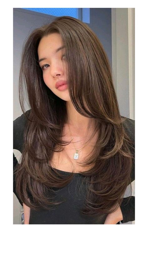 Layered Medium Thick Hair, Butterfly Haircut For Thick Wavy Hair, Haircuts Long Hair Straight, Thick Layered Haircut, Haïr Cut For Long Straight Hair, Butterfly Haircut Thick Hair, Haïr Cut Long Hair Straight, Latest Haircut For Women Long Hair, Straight Hair Haircuts Women